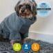 174500-1 Ancol Deep Dry Dog Coat