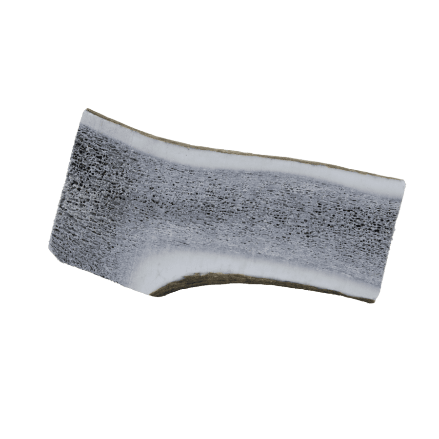 100% Natural Deer HALF Antler Dog Chew