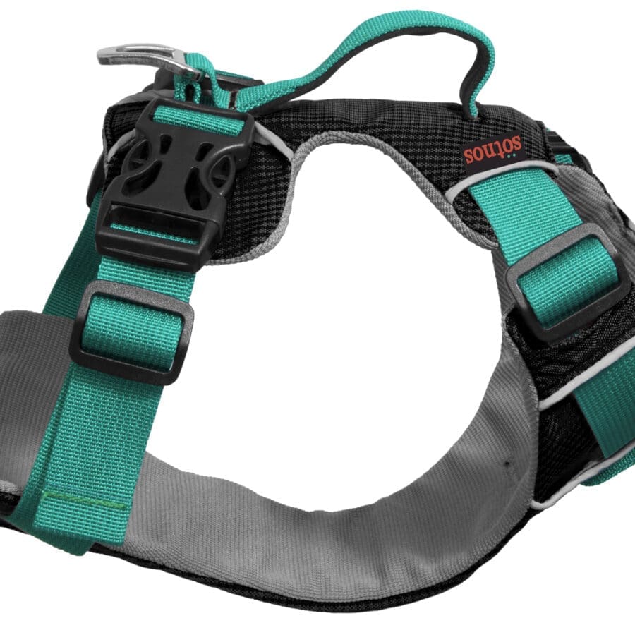 Sotnos Travel Harness Teal (Various Sizes Available)
