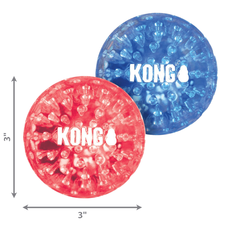 Kong Squeezz Geodz 2 Pack Large