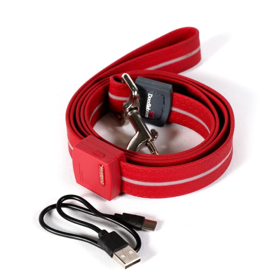 Doodlebone Light Up Lead (various)