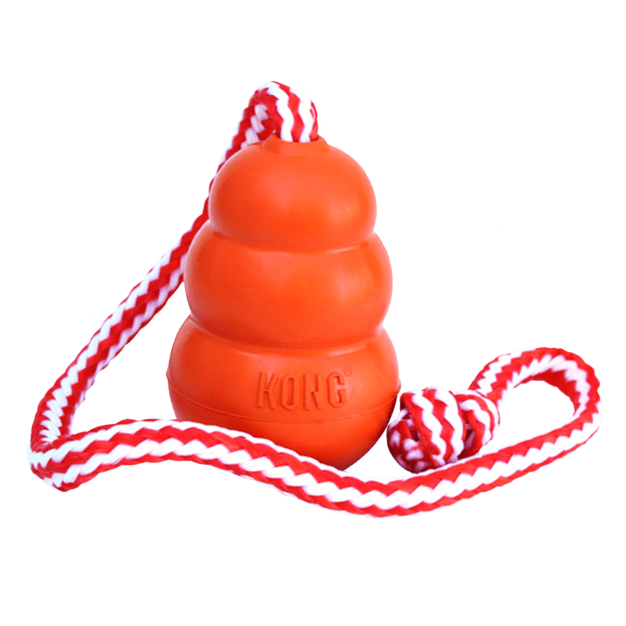 Kong Aqua (Medium & Large)