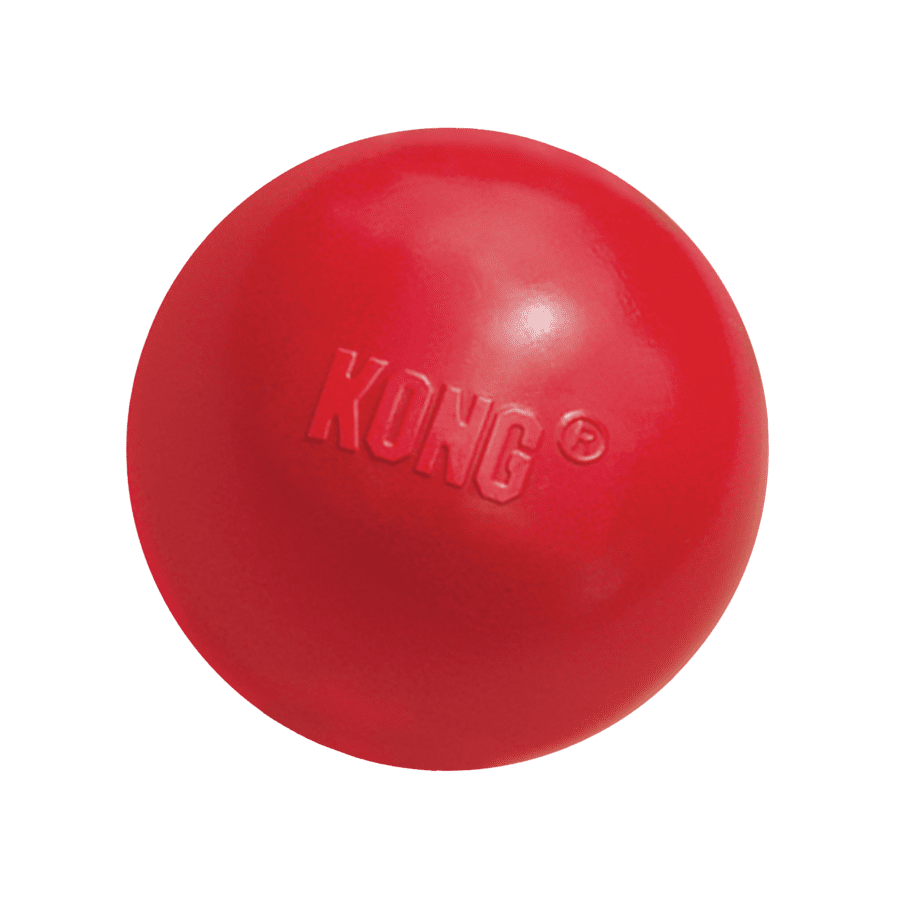 Kong Ball (Small & Med/Large)