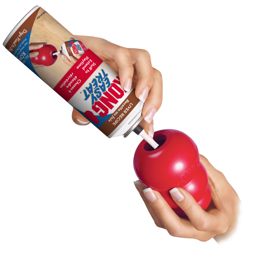 Kong Easy Treat (Various Flavours)