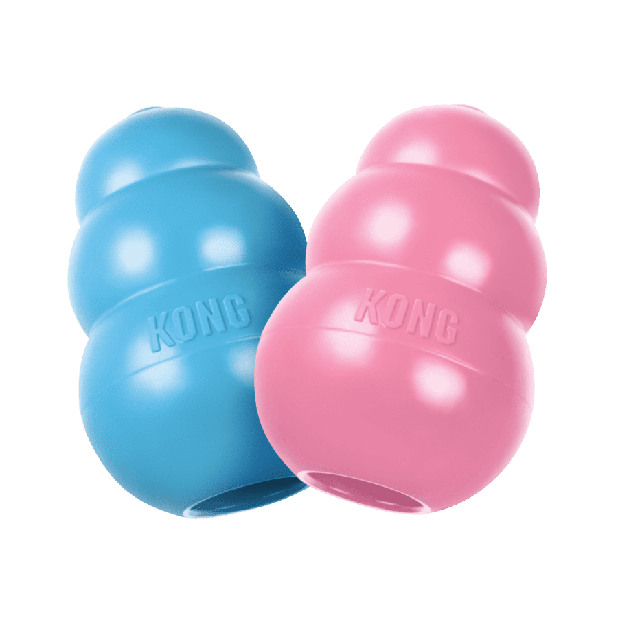 Kong Puppy Assorted Colours (Xs, Sm, Med, Large)