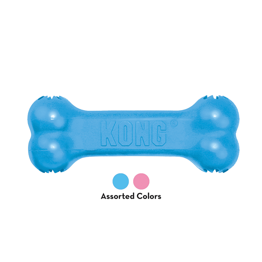 Kong Puppy Goodie Bone (Assorted Colours)