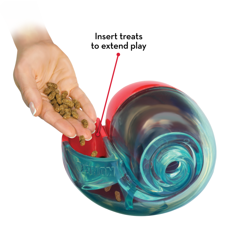 Kong Rewards Shell Small