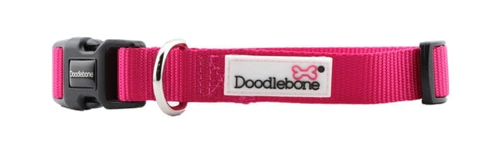 Doodlebone Collar Fuchsia (Various Sizes Available)