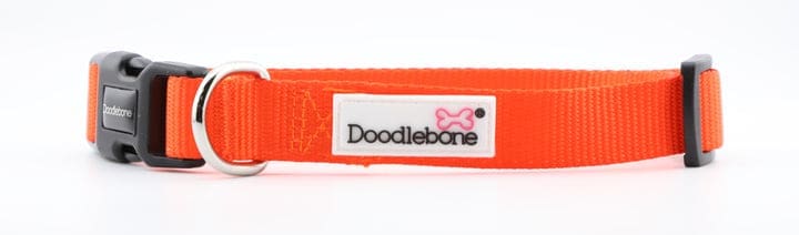 Doodlebone Collar Tangerine (Various Sizes Available)