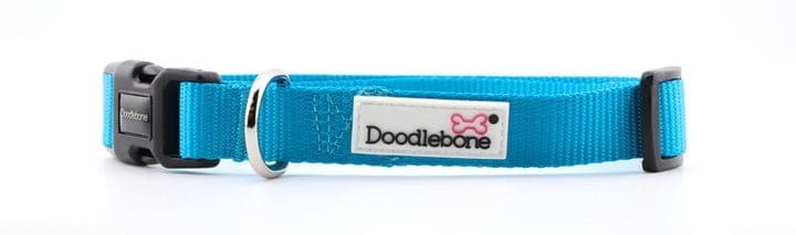 Doodlebone Collar Aqua (Various Sizes Available)