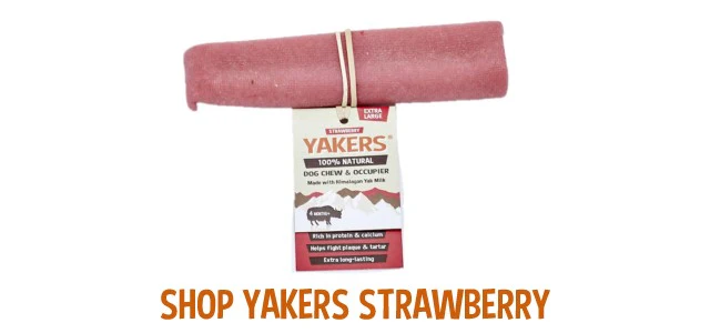 YAKERS Himalayan Dog Chews Strawberry