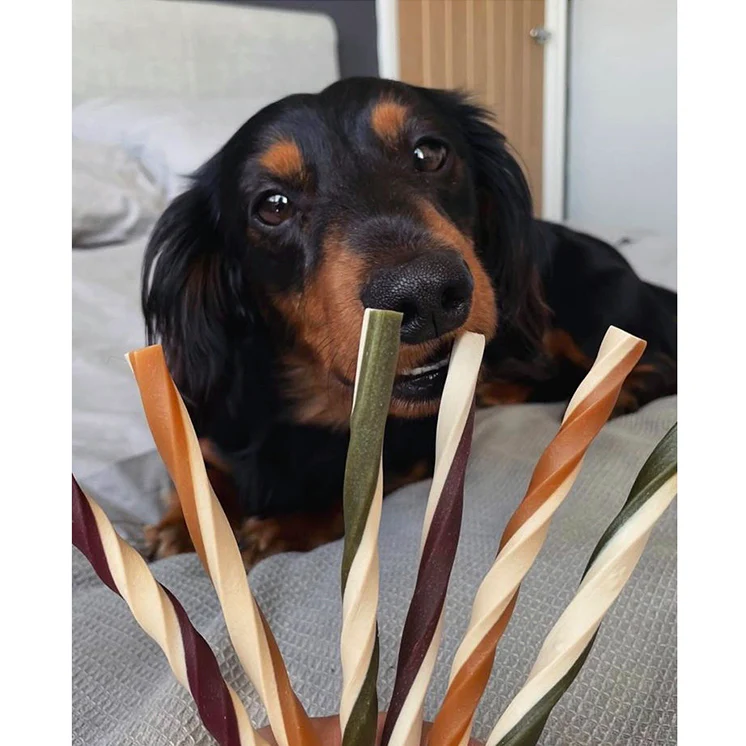 Vegan Dog Treats Maks Fruit & Veg Straws - Image 4