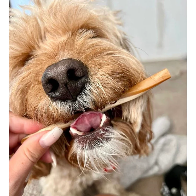 Vegan Dog Treats Maks Fruit & Veg Straws - Image 5
