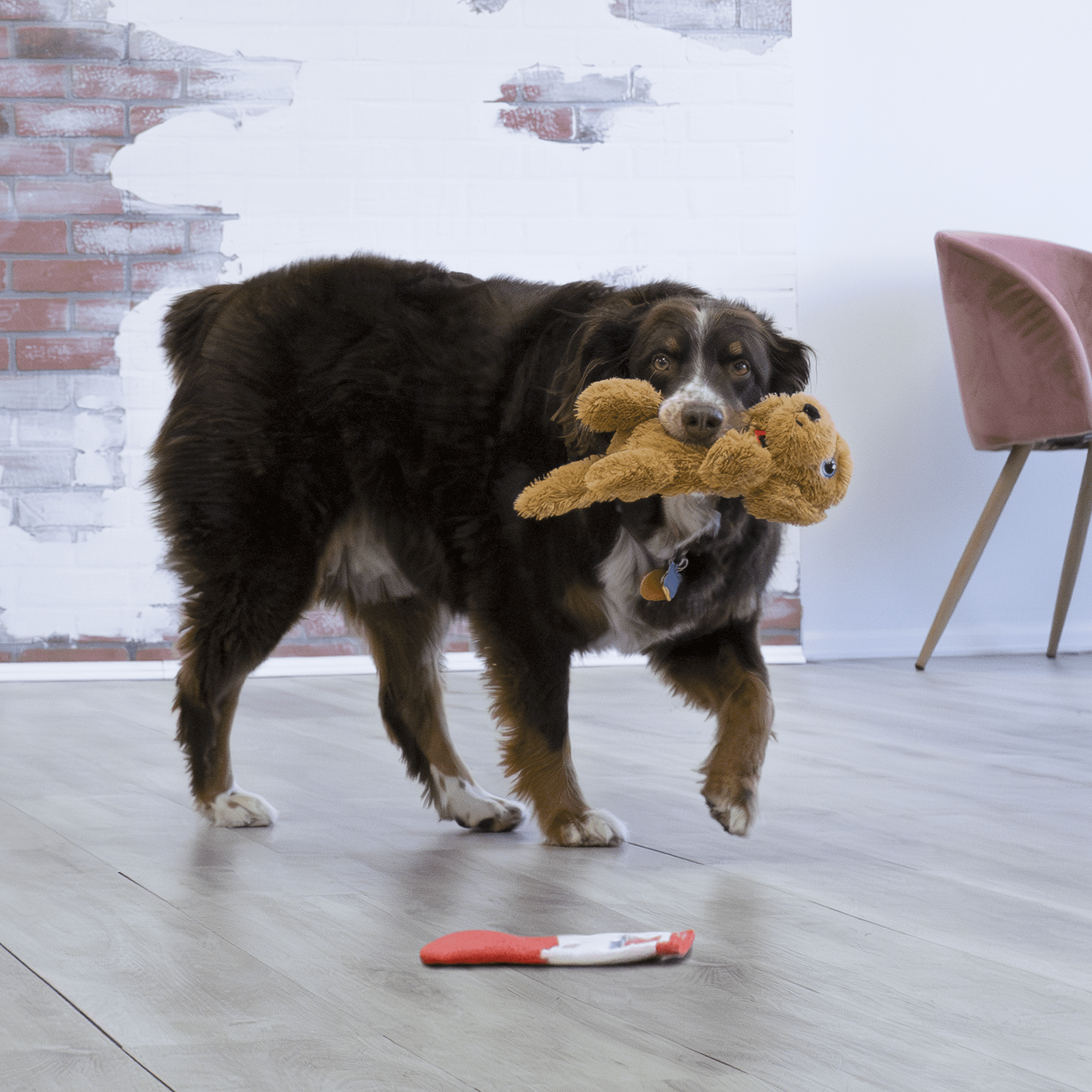 Kong Comfort Pups Goldie Medium - Image 3