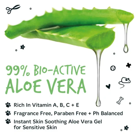 99-percent-bio-active-aloe-vera-gel 99-percent-bio-active-aloe-vera-gel