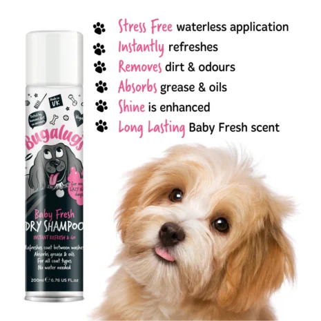dog-dry-shampoo-paw-points dog-dry-shampoo-paw-points