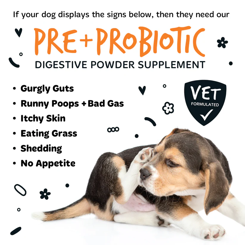 Bugalugs Pre + Probiotic Powder 80g - Image 4