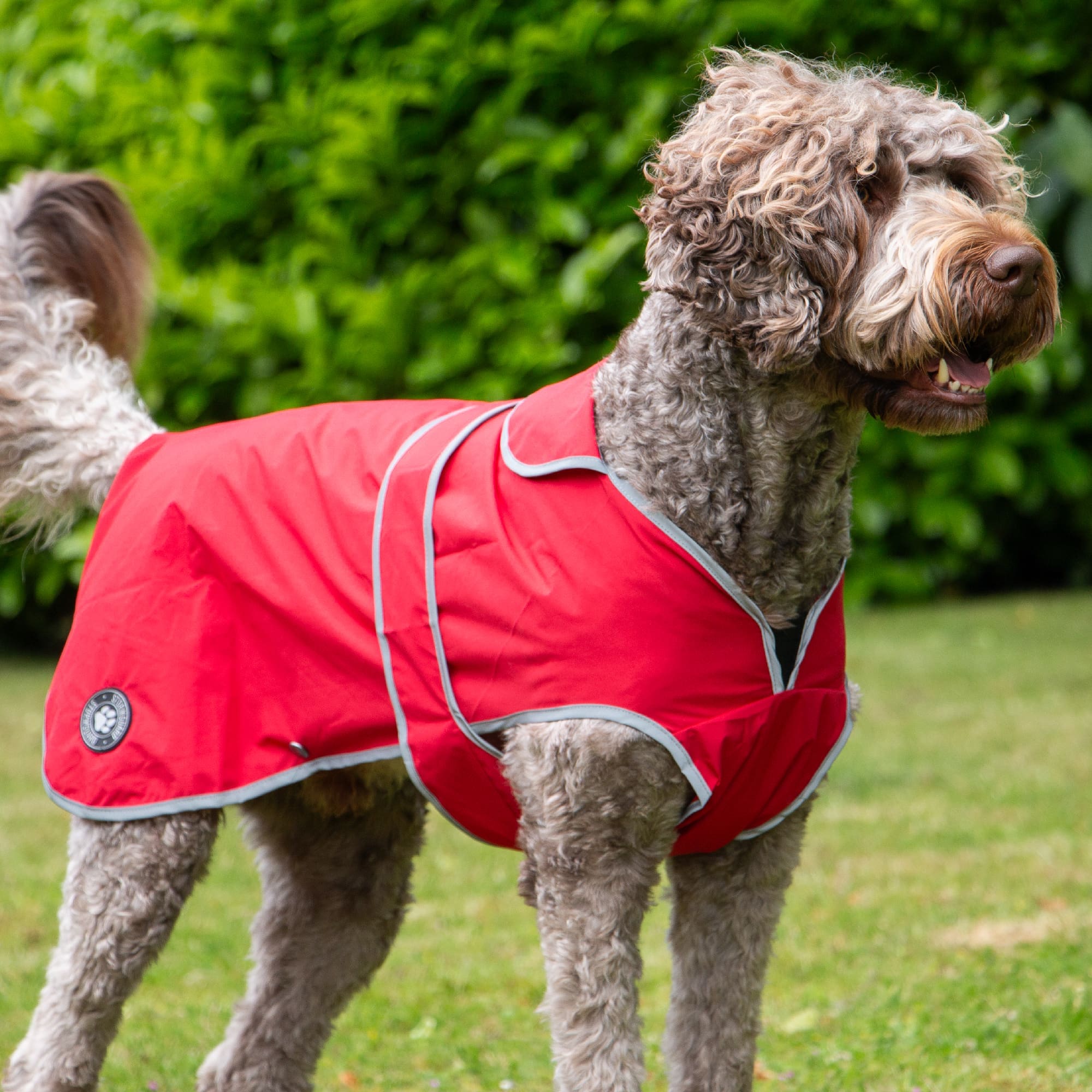 Ancol Stormguard Dog Coat - Bordeaux