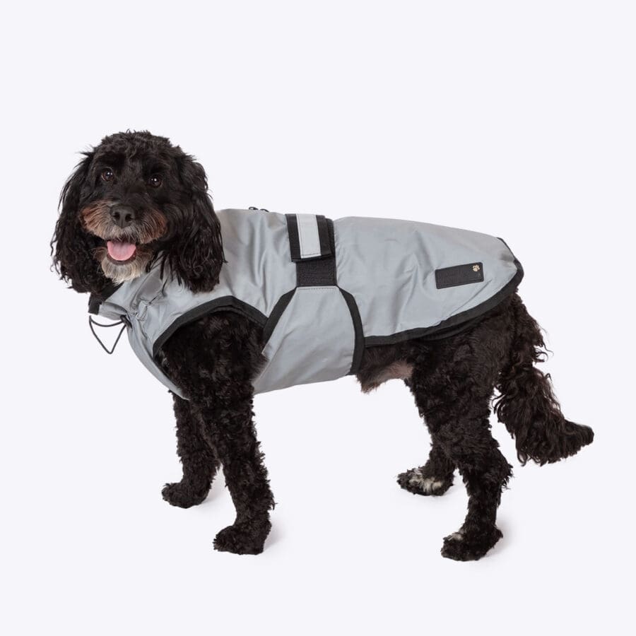 The Danish Design 3 in 1 Dog Coat