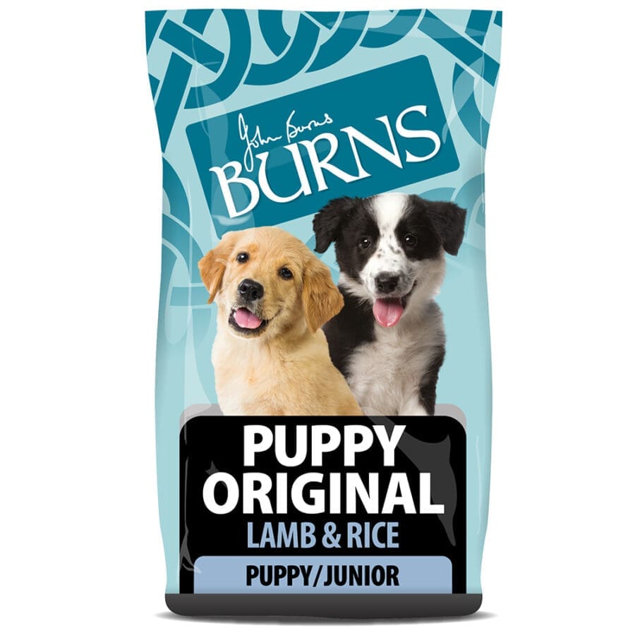 Burns Original Lamb & Rice Dry Puppy Food 2kg 6kg
