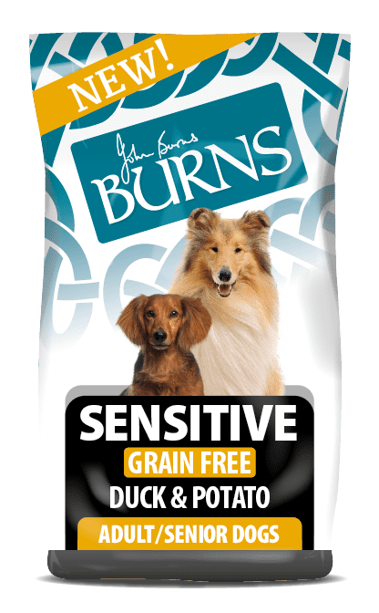 Burns Grain Free Dry Dog Food Duck & Potato 2kg 6kg