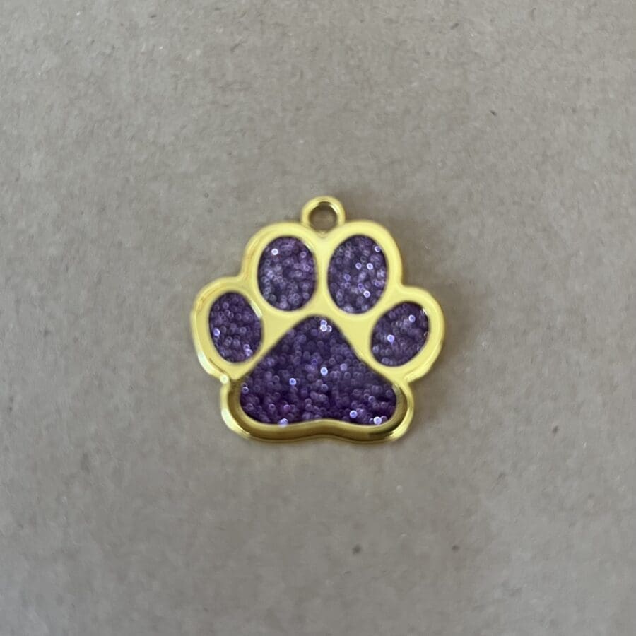 Glitter Paw Pet Tag (Various)