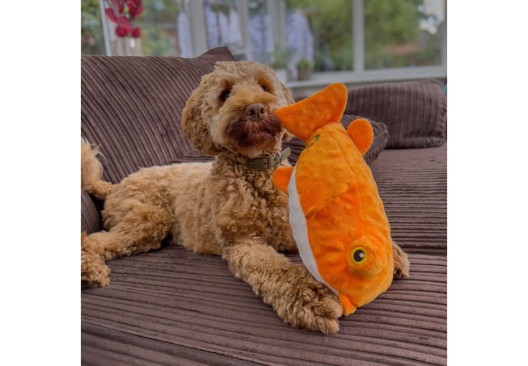 Made From Puffer Fish - Image 4