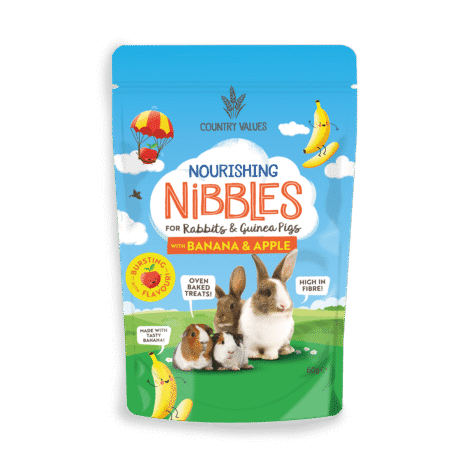 Burgess_Excel_NourishingNibbles_BananaApple