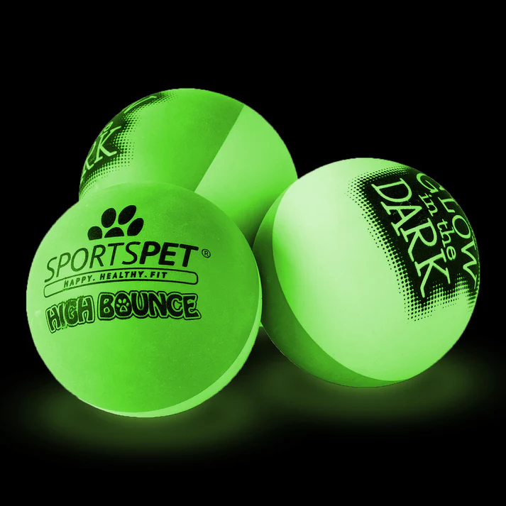 Sportpet Single Glow in the Dark Ball Dog Toy