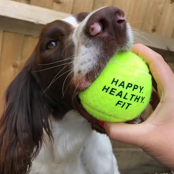 Sportpet Single Tennis Ball 65mm Dog Toy
