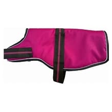Animate Dachshund Padded Coat with Adjustable Belly (Various)