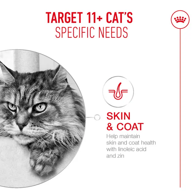 Royal Canin Cat Ageing 11+ Chunks In Gravy (Various Quantities) - Image 3