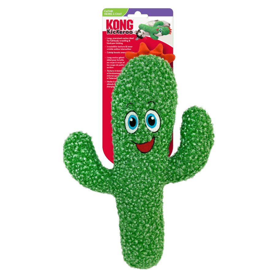 Kong Kickeroo Cactus