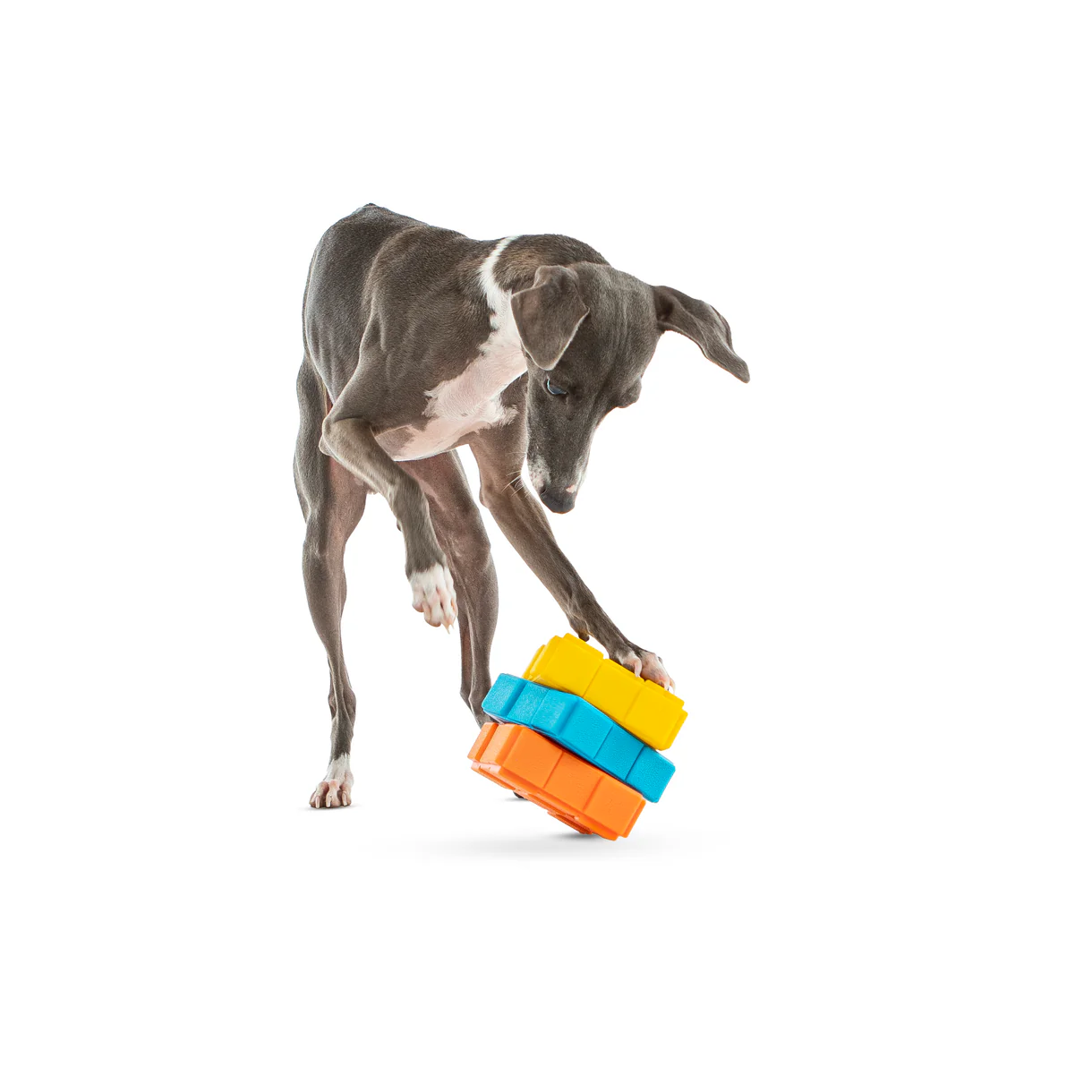Guru Dog-X-Cube Medium - Image 3