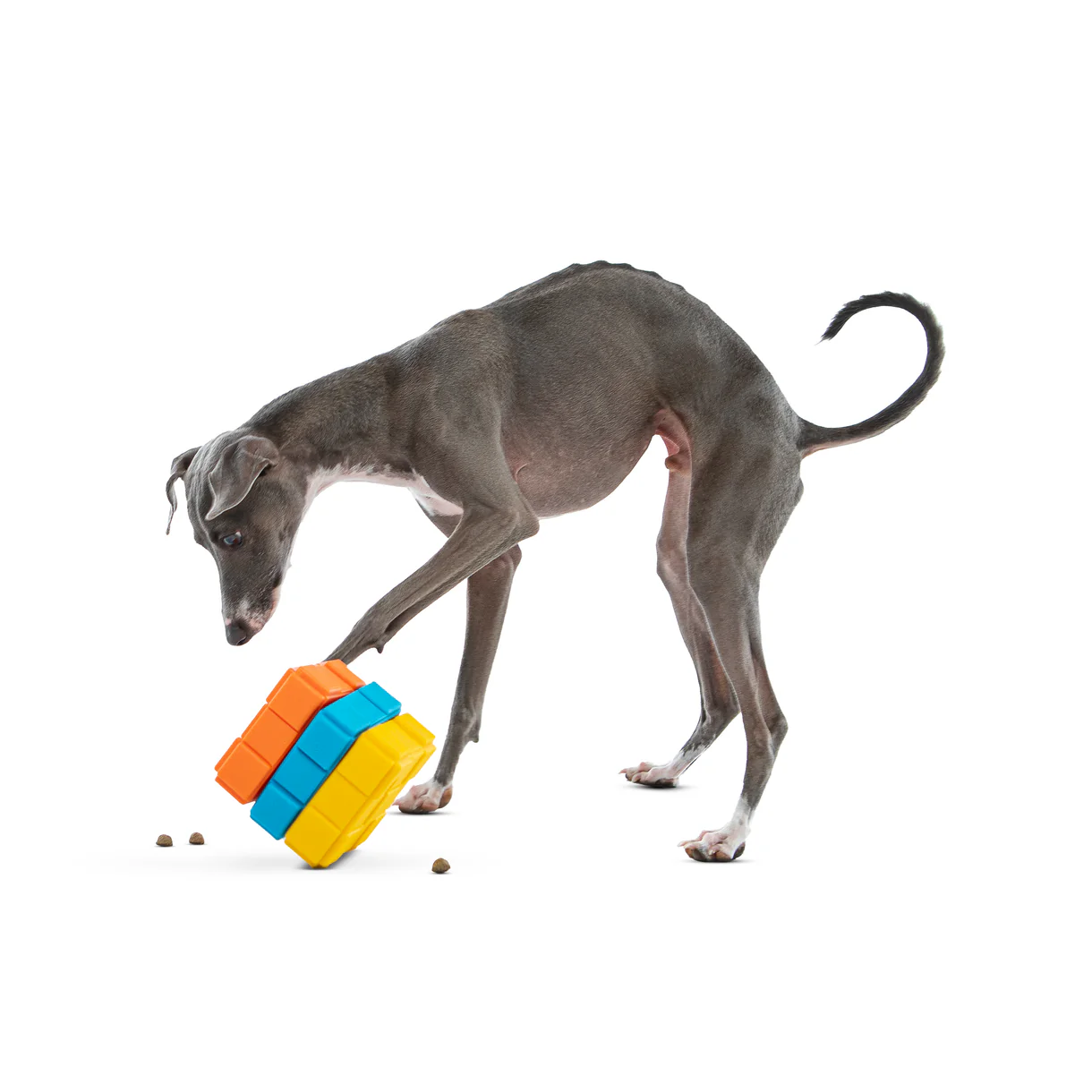 Guru Dog-X-Cube Medium - Image 4