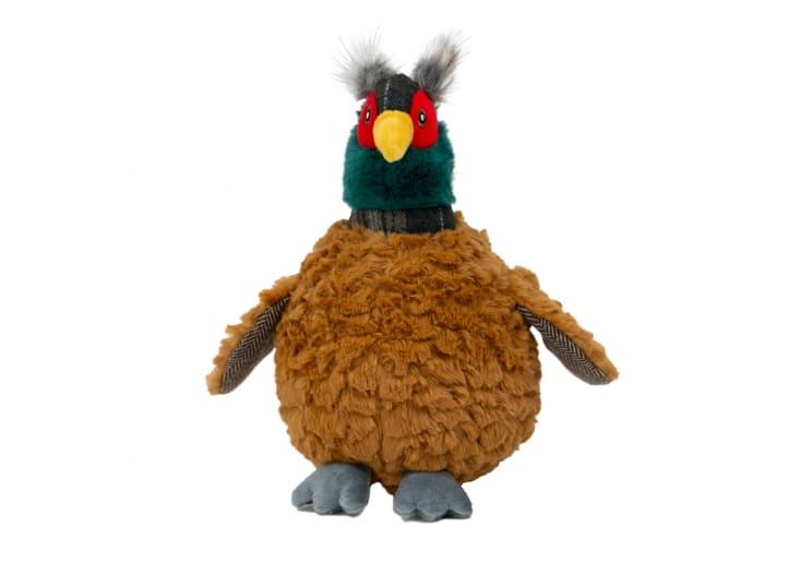 Heritage Phoebe Pheasant