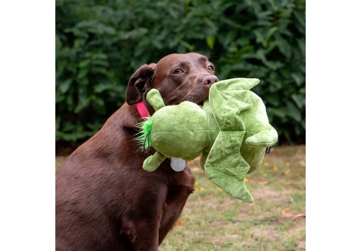Cuddle Sprout The Dragon - Image 3