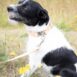 03774_LS (1)