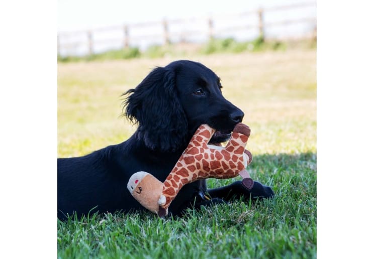 Small Bite Giraffe - Image 3