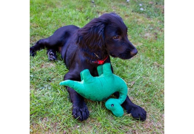 Small Bite Dino - Image 3