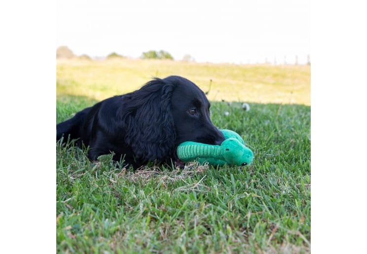 Small Bite Dino - Image 5