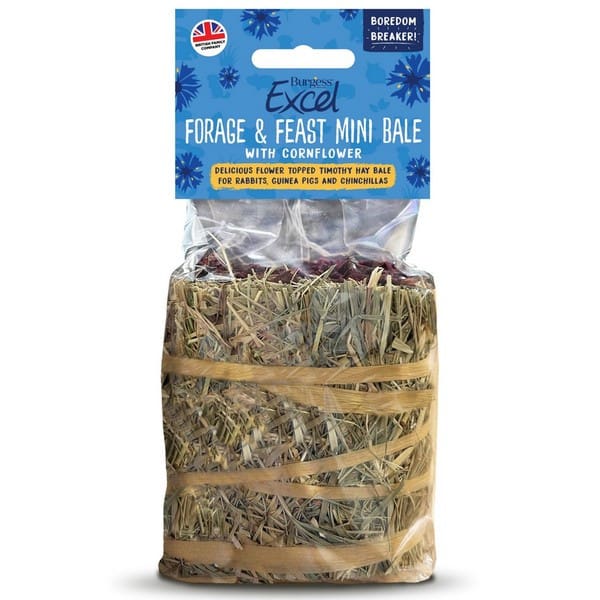 Burgess Excel Forage & Feast Hay Bale with Cornflower 100g
