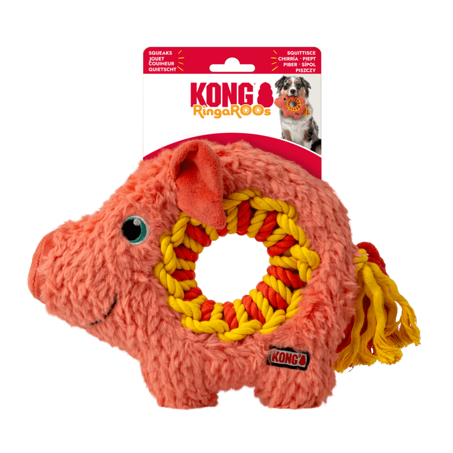 Kong Ringaroos Pig Md