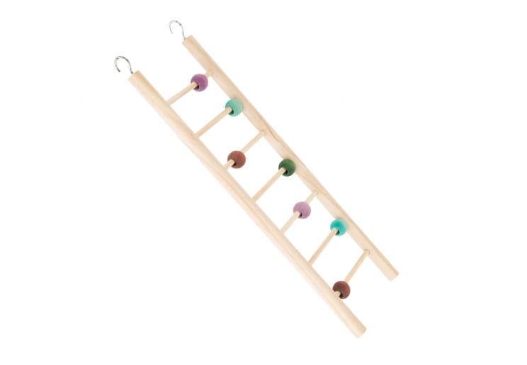 Burrow & Squeak Wooden Ladder
