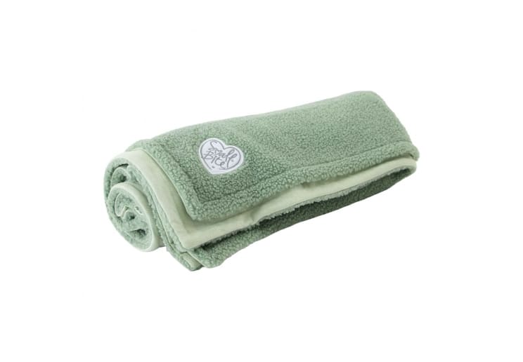 Small Bite Teddy Bear Blanket Sage