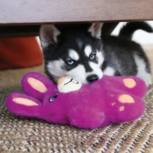KONG SNUZZLES BUNNY MEDIUM - Image 3