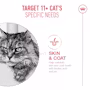 Royal Canin Cat Ageing 11+ (various) - Image 4