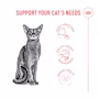 Royal Canin Cat Ageing 11+ (various) - Image 5