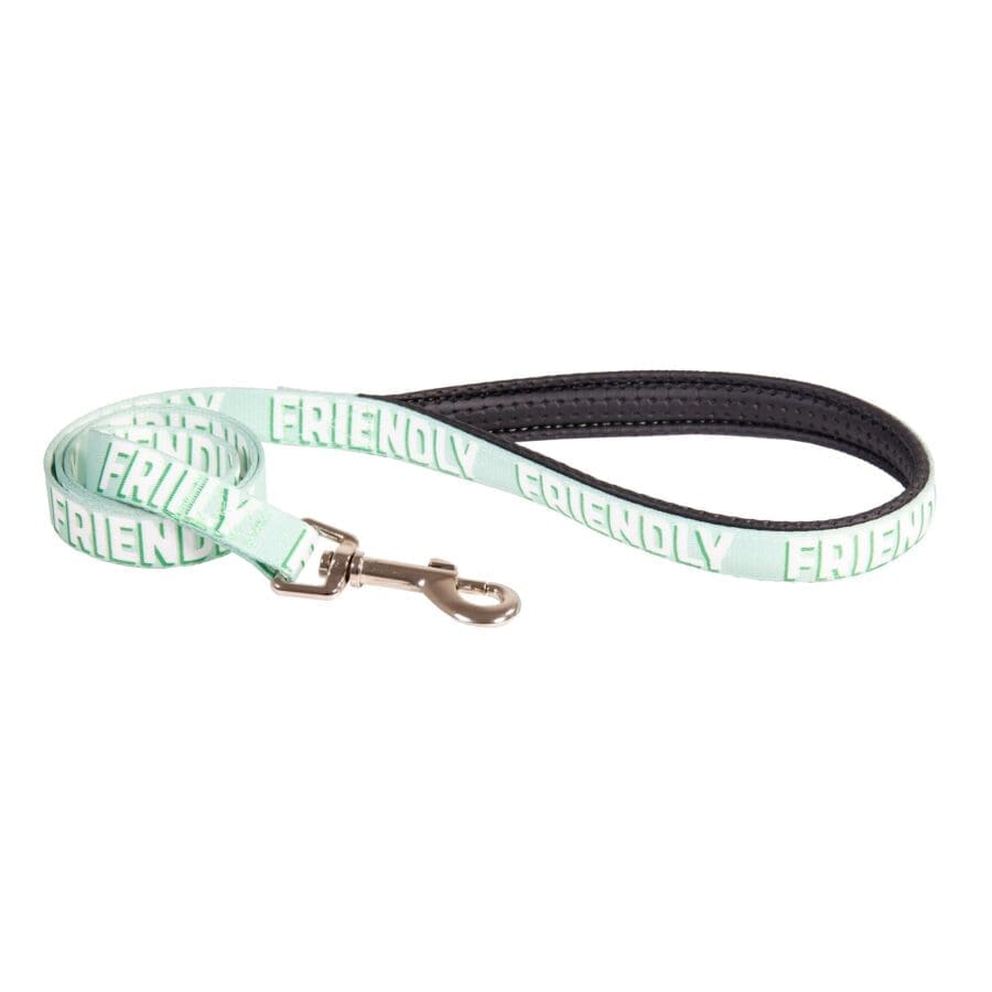Friendly Alert Collars Lead