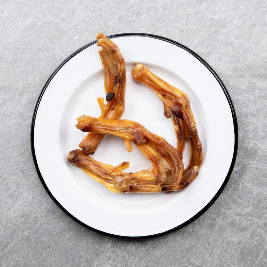 Duck Feet